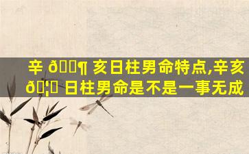 辛 🐶 亥日柱男命特点,辛亥 🦋 日柱男命是不是一事无成